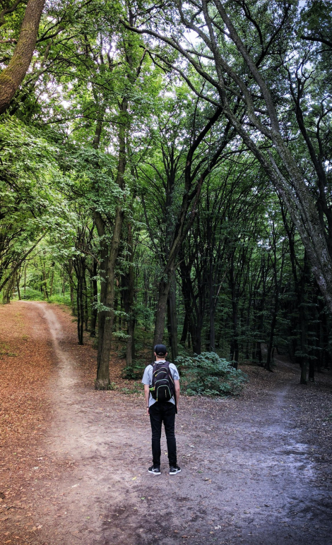 Buyer Decision Criteria